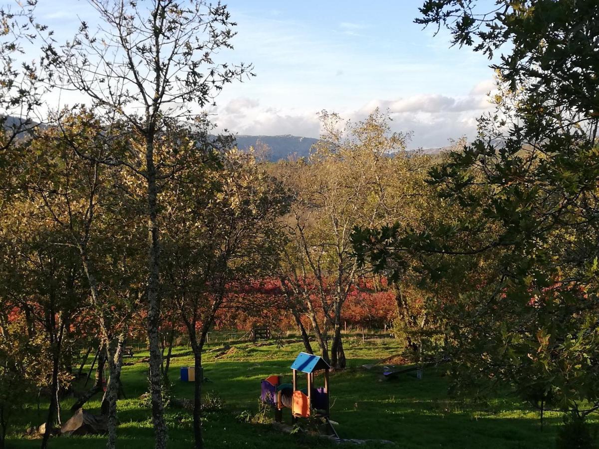 Quinta Dos Carvalhais - Serra Da Estrela Фо́рнуш-де-Алго́дреш Екстер'єр фото